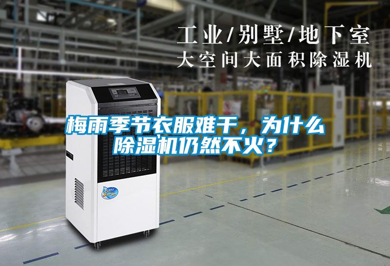 梅雨季節(jié)衣服難干，為什么除濕機(jī)仍然不火？