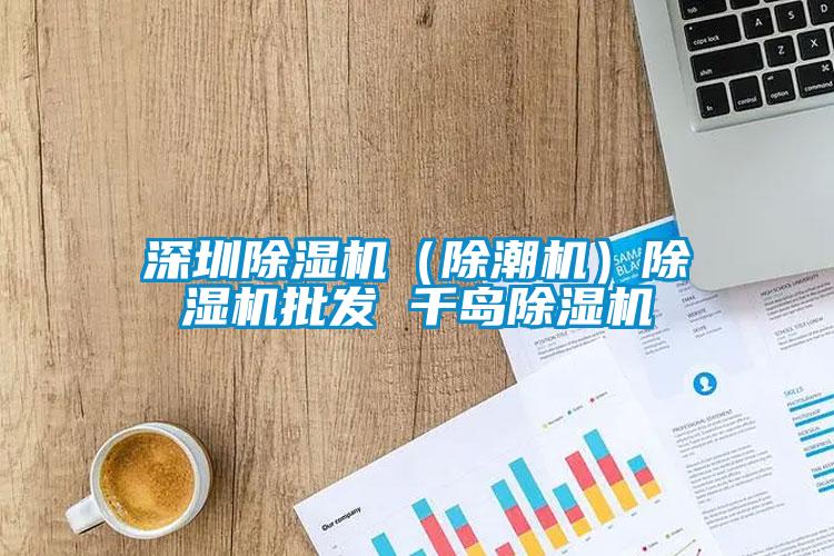 深圳除濕機(jī)（除潮機(jī)）除濕機(jī)批發(fā) 千島除濕機(jī)