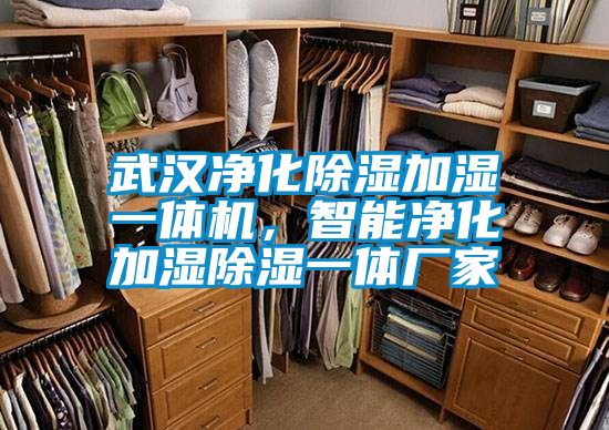 武漢凈化除濕加濕一體機(jī)，智能凈化加濕除濕一體廠家