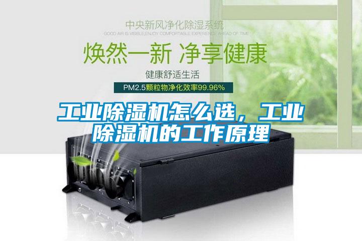 工業(yè)除濕機怎么選，工業(yè)除濕機的工作原理