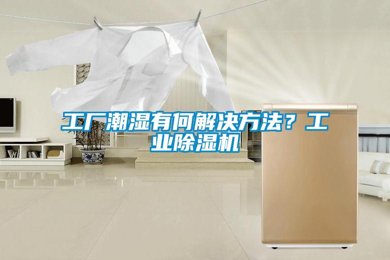 工廠潮濕有何解決方法？工業(yè)除濕機