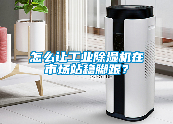 怎么讓工業(yè)除濕機(jī)在市場(chǎng)站穩(wěn)腳跟？