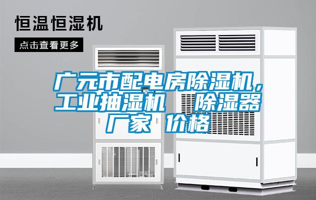 廣元市配電房除濕機，工業(yè)抽濕機  除濕器廠家 價格