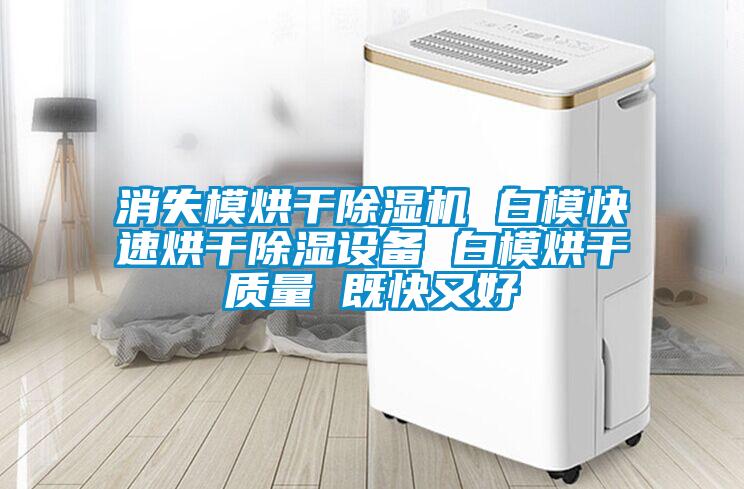 消失模烘干除濕機 白?？焖俸娓沙凉裨O(shè)備 白模烘干質(zhì)量 既快又好