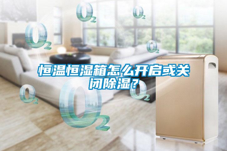 恒溫恒濕箱怎么開啟或關(guān)閉除濕？