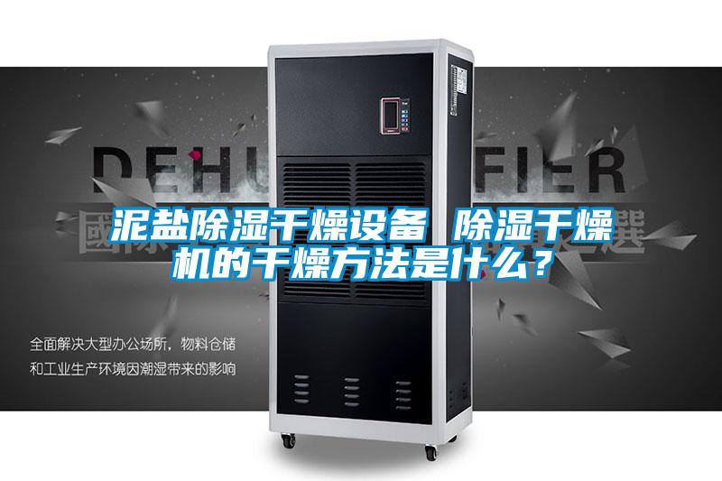 泥鹽除濕干燥設(shè)備 除濕干燥機的干燥方法是什么？