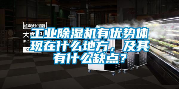 工業(yè)除濕機有優(yōu)勢體現(xiàn)在什么地方，及其有什么缺點？