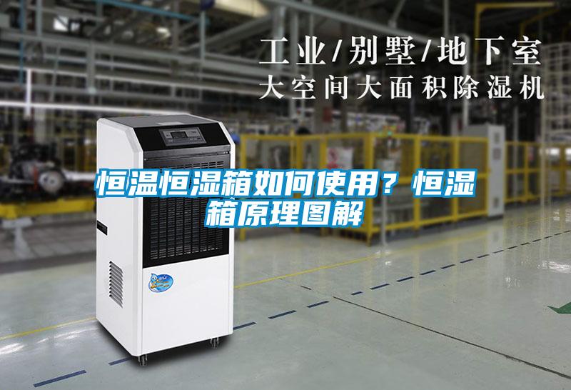 恒溫恒濕箱如何使用？恒濕箱原理圖解