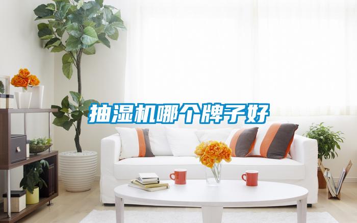 抽濕機(jī)哪個(gè)牌子好