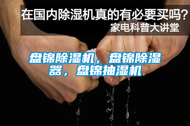 盤錦除濕機(jī)，盤錦除濕器，盤錦抽濕機(jī)