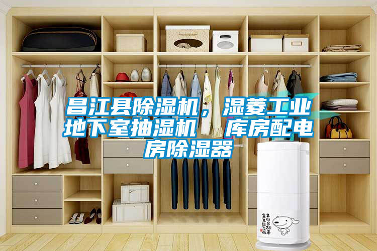 昌江縣除濕機(jī)，濕菱工業(yè)地下室抽濕機(jī)  庫房配電房除濕器