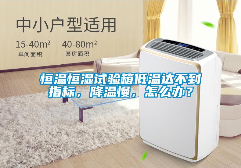 恒溫恒濕試驗(yàn)箱低溫達(dá)不到指標(biāo)，降溫慢，怎么辦？