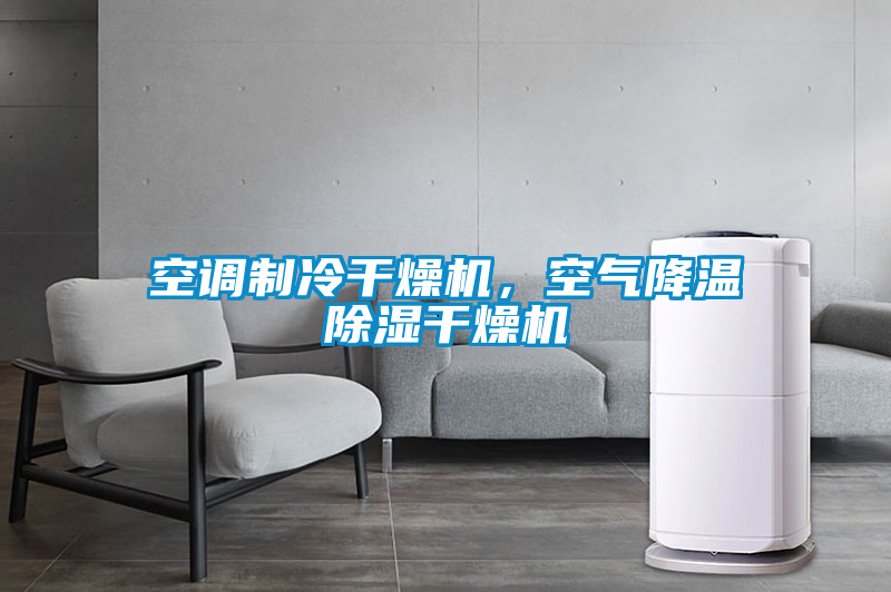 空調(diào)制冷干燥機(jī)，空氣降溫除濕干燥機(jī)
