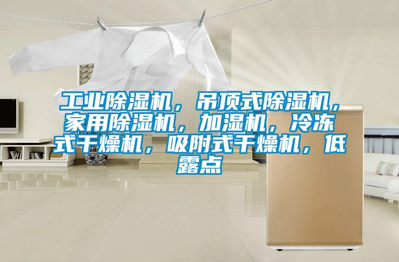 工業(yè)除濕機(jī)，吊頂式除濕機(jī)，家用除濕機(jī)，加濕機(jī)，冷凍式干燥機(jī)，吸附式干燥機(jī)，低露點(diǎn)