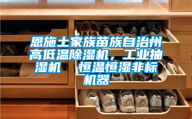 恩施土家族苗族自治州高低溫除濕機(jī)，工業(yè)抽濕機(jī)  恒溫恒濕非標(biāo)機(jī)器