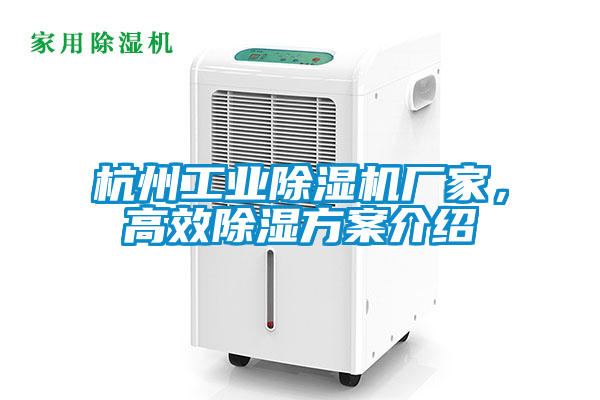 杭州工業(yè)除濕機(jī)廠家，高效除濕方案介紹