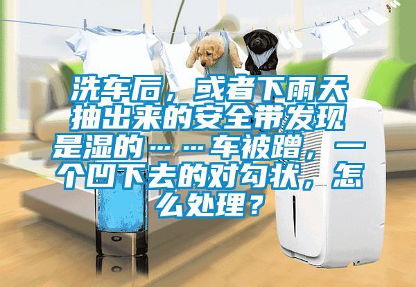 洗車后，或者下雨天抽出來的安全帶發(fā)現(xiàn)是濕的……車被蹭，一個凹下去的對勾狀，怎么處理？