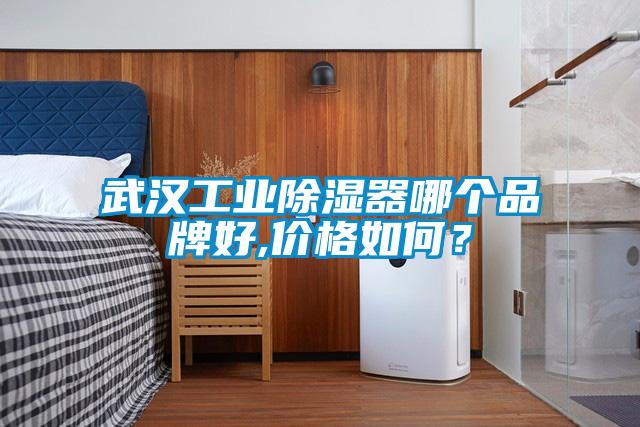 武漢工業(yè)除濕器哪個品牌好,價格如何？