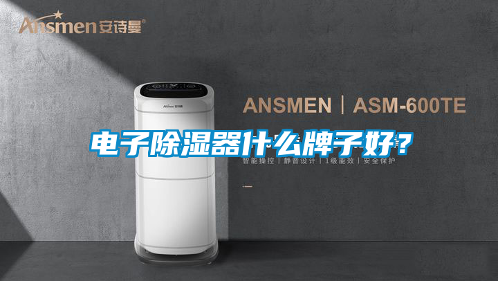電子除濕器什么牌子好？