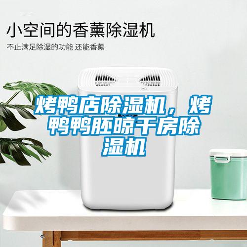 烤鴨店除濕機(jī)，烤鴨鴨胚晾干房除濕機(jī)