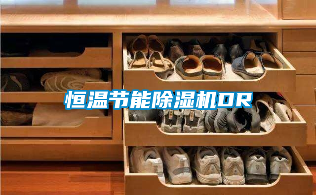 恒溫節(jié)能除濕機(jī)DR