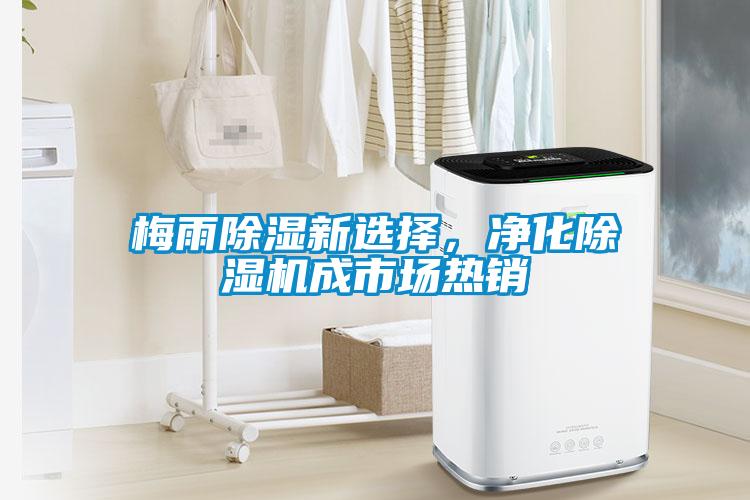 梅雨除濕新選擇，凈化除濕機(jī)成市場(chǎng)熱銷