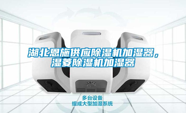 湖北恩施供應(yīng)除濕機(jī)加濕器，濕菱除濕機(jī)加濕器