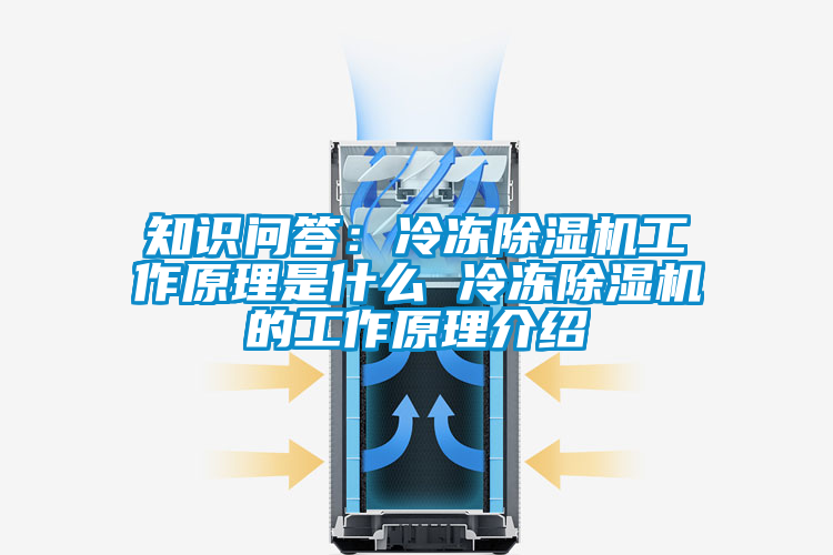 知識(shí)問(wèn)答：冷凍除濕機(jī)工作原理是什么 冷凍除濕機(jī)的工作原理介紹