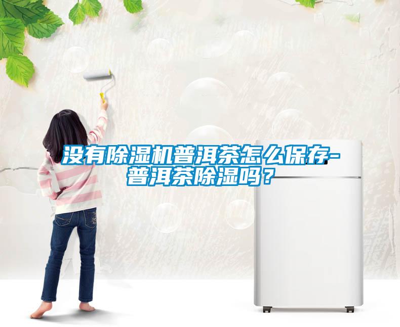 沒有除濕機(jī)普洱茶怎么保存-普洱茶除濕嗎？