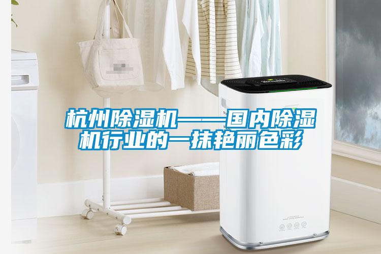 杭州除濕機(jī)——國內(nèi)除濕機(jī)行業(yè)的一抹艷麗色彩