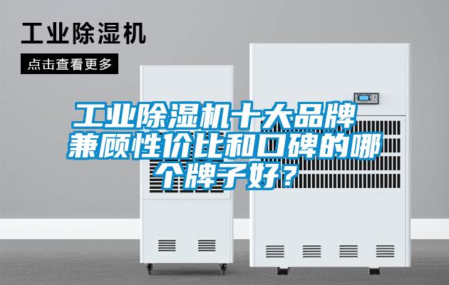 工業(yè)除濕機十大品牌 兼顧性價比和口碑的哪個牌子好？
