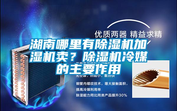 湖南哪里有除濕機(jī)加濕機(jī)賣？除濕機(jī)冷媒的主要作用