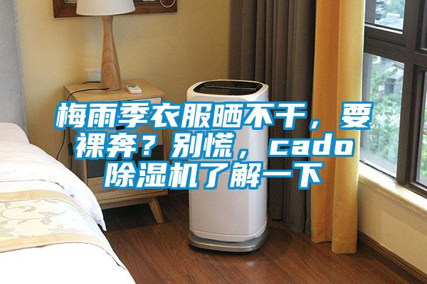 梅雨季衣服曬不干，要裸奔？別慌，cado除濕機了解一下