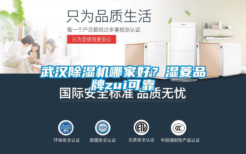 武漢除濕機(jī)哪家好？濕菱品牌zui可靠