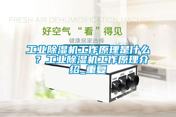 工業(yè)除濕機工作原理是什么 ？工業(yè)除濕機工作原理介紹_重復
