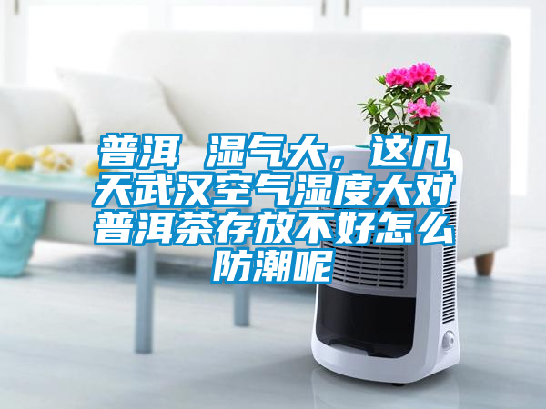 普洱 濕氣大，這幾天武漢空氣濕度大對(duì)普洱茶存放不好怎么防潮呢