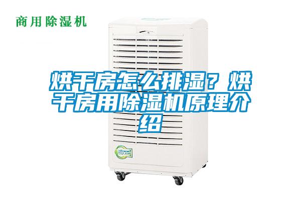 烘干房怎么排濕？烘干房用除濕機(jī)原理介紹