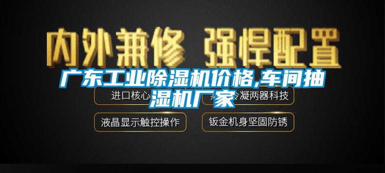 廣東工業(yè)除濕機(jī)價(jià)格,車(chē)間抽濕機(jī)廠家