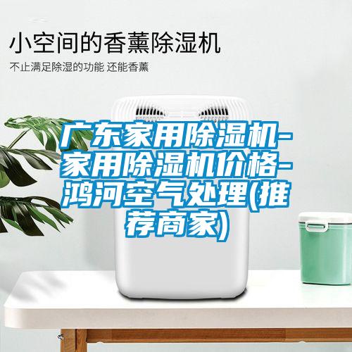 廣東家用除濕機(jī)-家用除濕機(jī)價格-鴻河空氣處理(推薦商家)