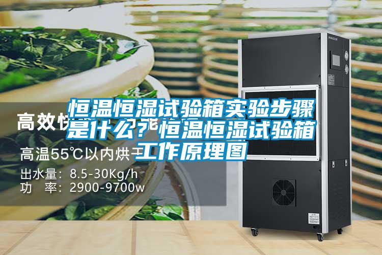 恒溫恒濕試驗(yàn)箱實(shí)驗(yàn)步驟是什么？恒溫恒濕試驗(yàn)箱工作原理圖