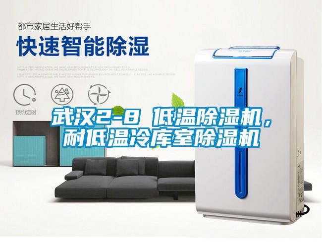 武漢2-8℃低溫除濕機(jī)，耐低溫冷庫(kù)室除濕機(jī)