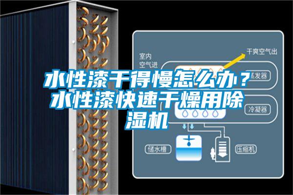 水性漆干得慢怎么辦？水性漆快速干燥用除濕機