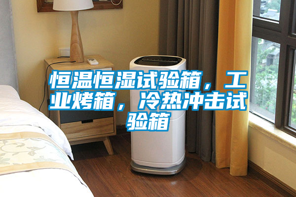 恒溫恒濕試驗箱，工業(yè)烤箱，冷熱沖擊試驗箱