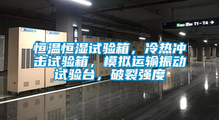 恒溫恒濕試驗箱，冷熱沖擊試驗箱，模擬運輸振動試驗臺，破裂強度