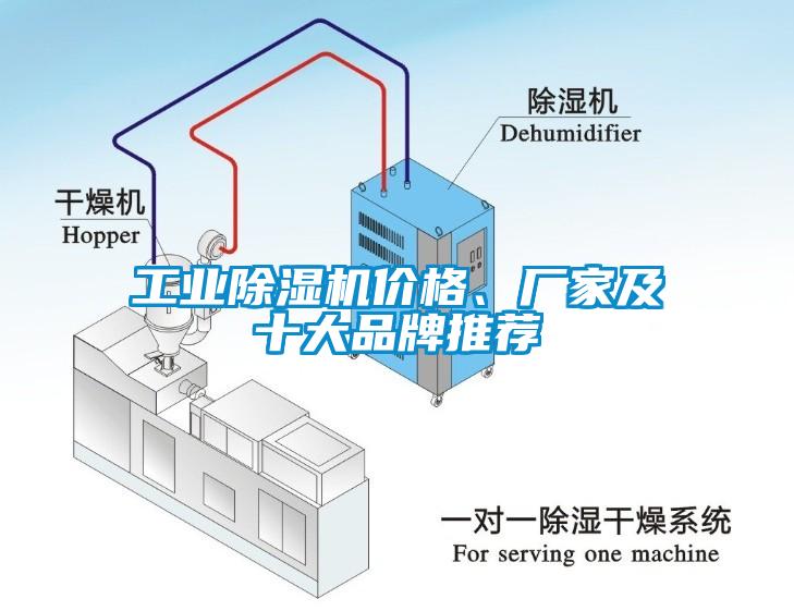 工業(yè)除濕機(jī)價(jià)格、廠家及十大品牌推薦