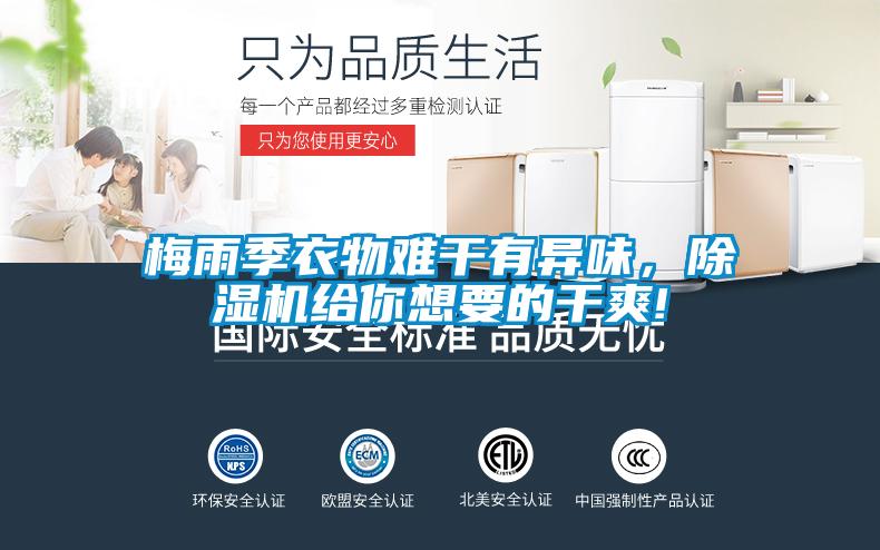 梅雨季衣物難干有異味，除濕機給你想要的干爽!