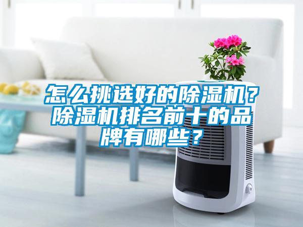 怎么挑選好的除濕機(jī)？除濕機(jī)排名前十的品牌有哪些？