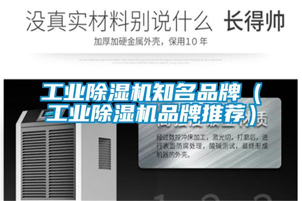 工業(yè)除濕機知名品牌（工業(yè)除濕機品牌推薦）