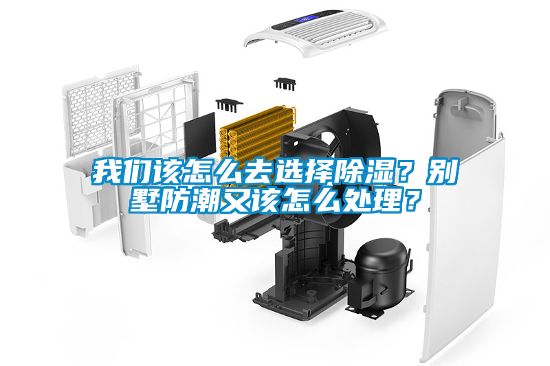 我們該怎么去選擇除濕？別墅防潮又該怎么處理？