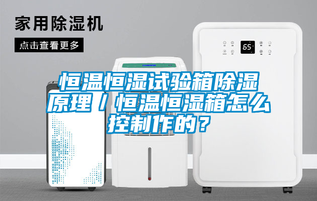 恒溫恒濕試驗(yàn)箱除濕原理／恒溫恒濕箱怎么控制作的？